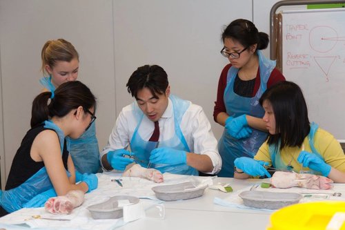pivot academics dr billy leung suturing tutoring demo